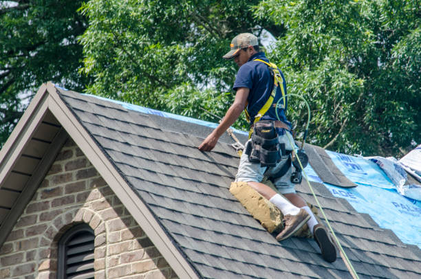 Roof Waterproofing Services in Brighton, CO
